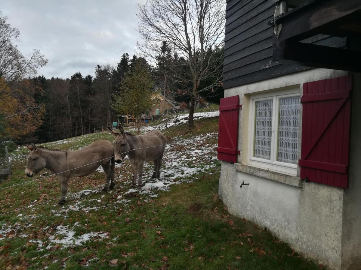 Le Chalet De Rothenbuhl Dabo Kültér fotó