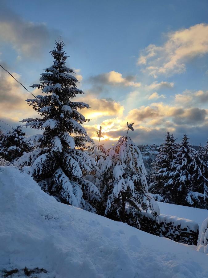 Le Chalet De Rothenbuhl Dabo Kültér fotó