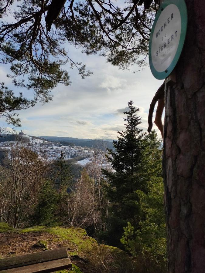 Le Chalet De Rothenbuhl Dabo Kültér fotó