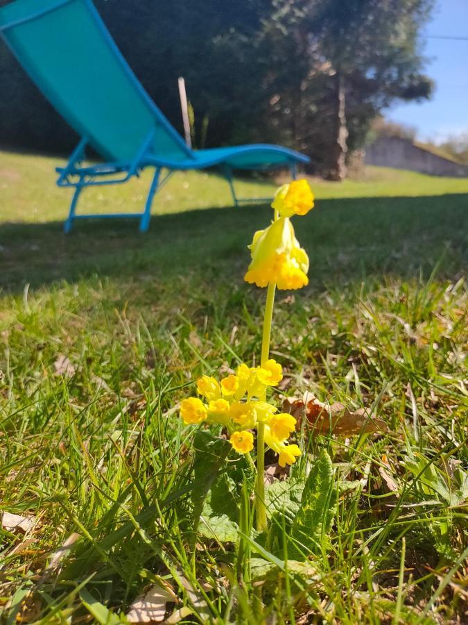 Le Chalet De Rothenbuhl Dabo Kültér fotó